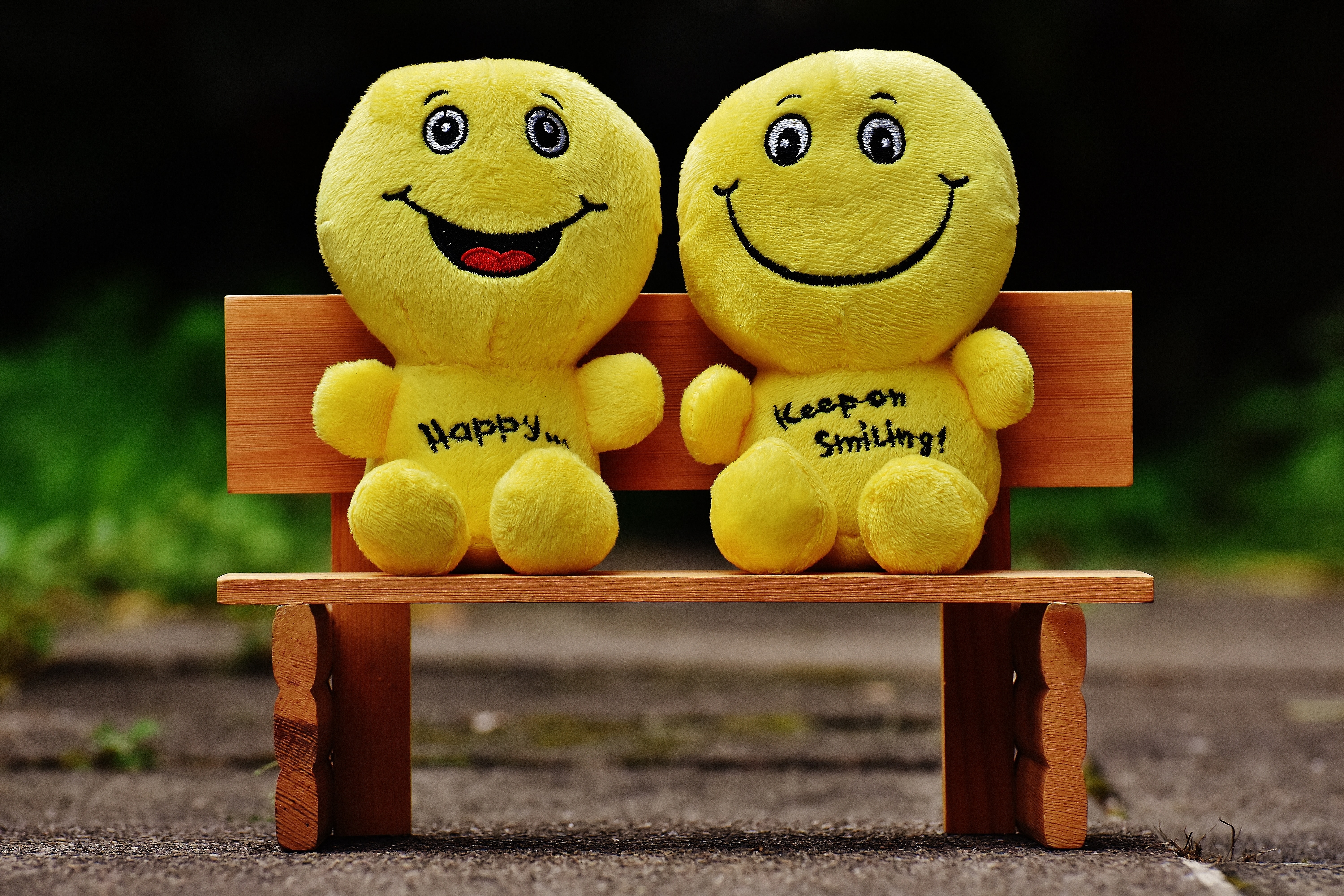 smiling faces on the bench