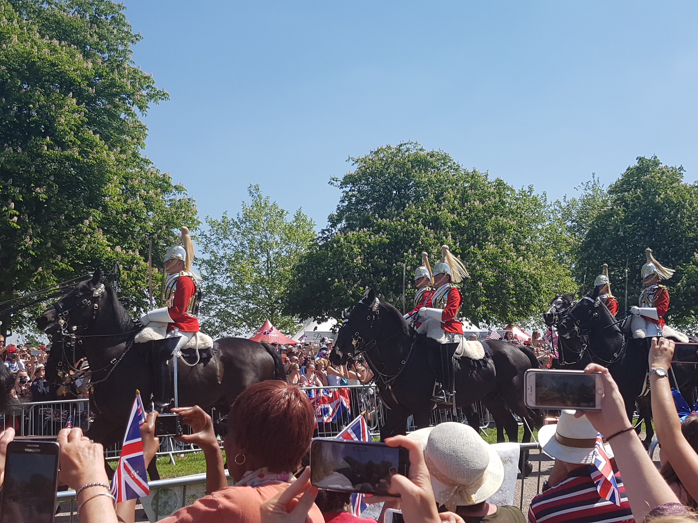 Cavalry on horses